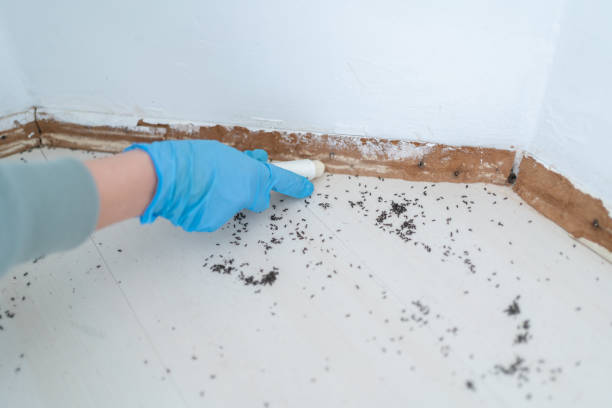 Best Real Estate Pest Inspections  in Loganville, PA